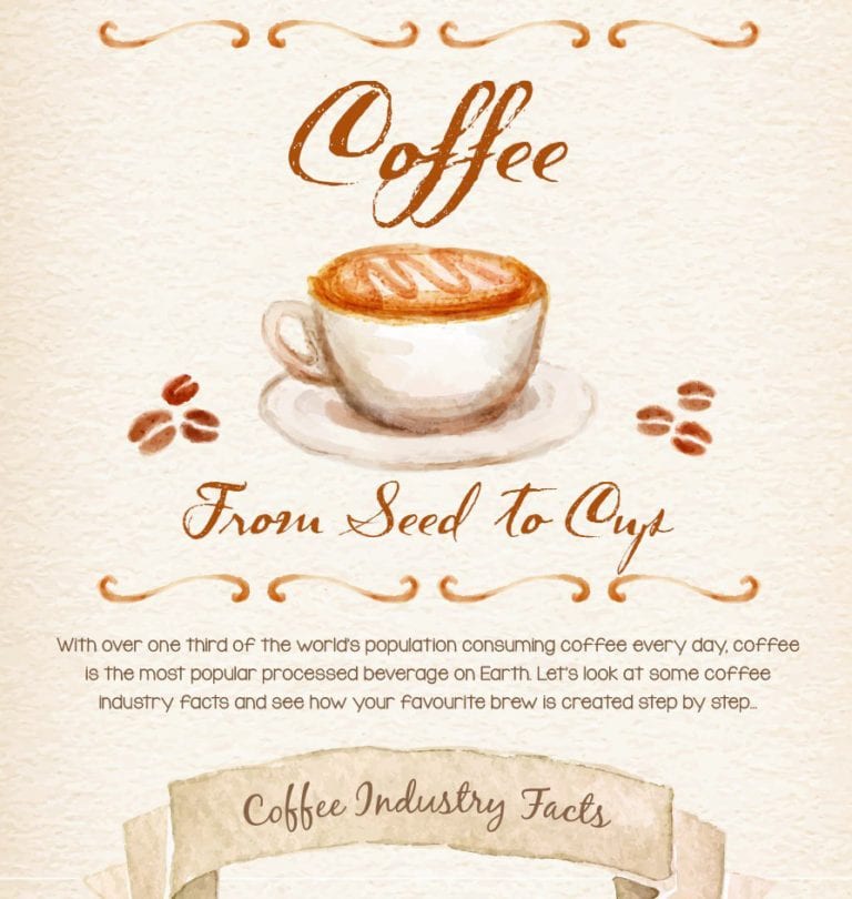 Coffee from Seed to Cup Infographic