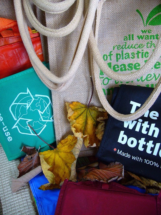 Earth Day: Our County’s Plastic Bag Fee Law and How Plastic Pollution Harms Us