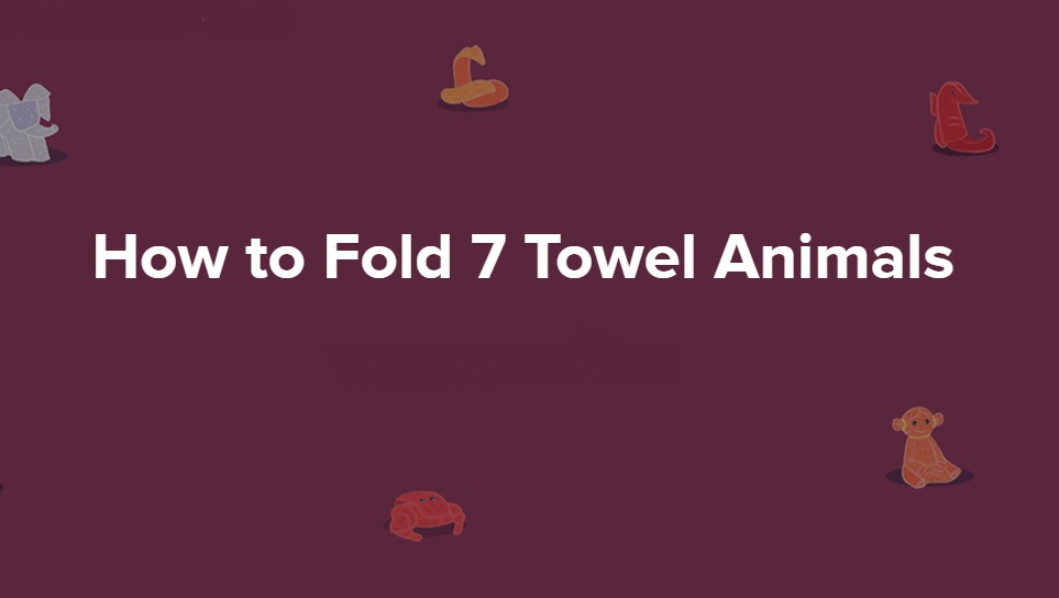 Puzzle Dog - What more to do with a towel? Towel Puzzle #3: fold it 😊  There are MANY ways to fold a towel and that means there are many different  puzzles